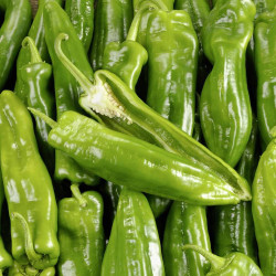 Poivron