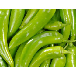 Piment