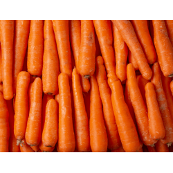 Carottes